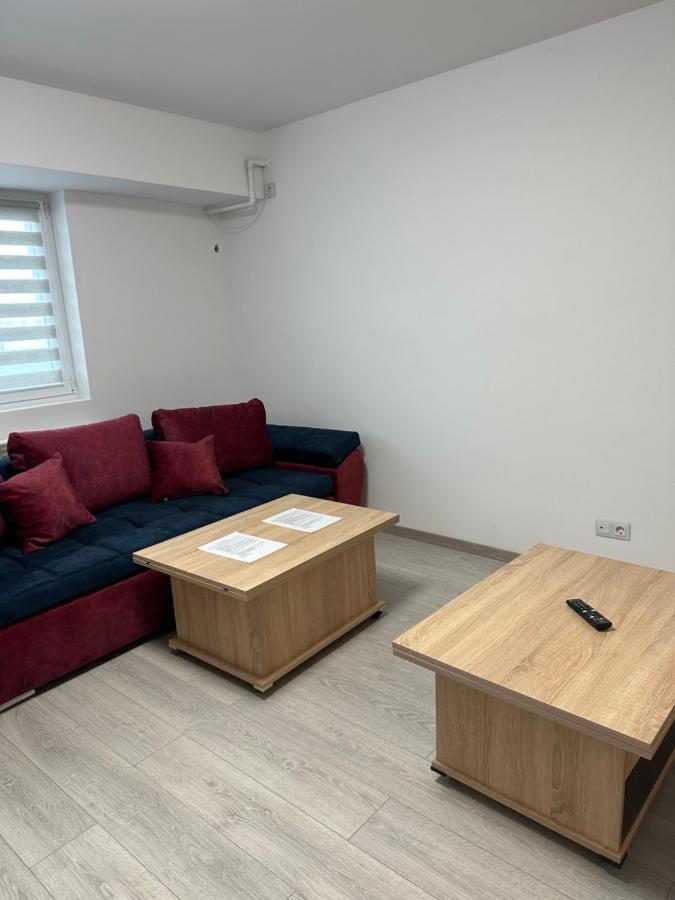Apartment Iancului *
