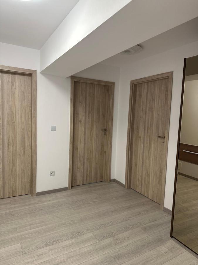 Apartment Iancului *